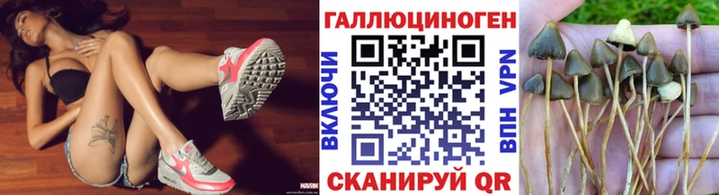 Псилоцибиновые грибы Psilocybine cubensis  Искитим 